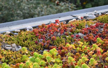 the cost of Mount Hill green roof installation